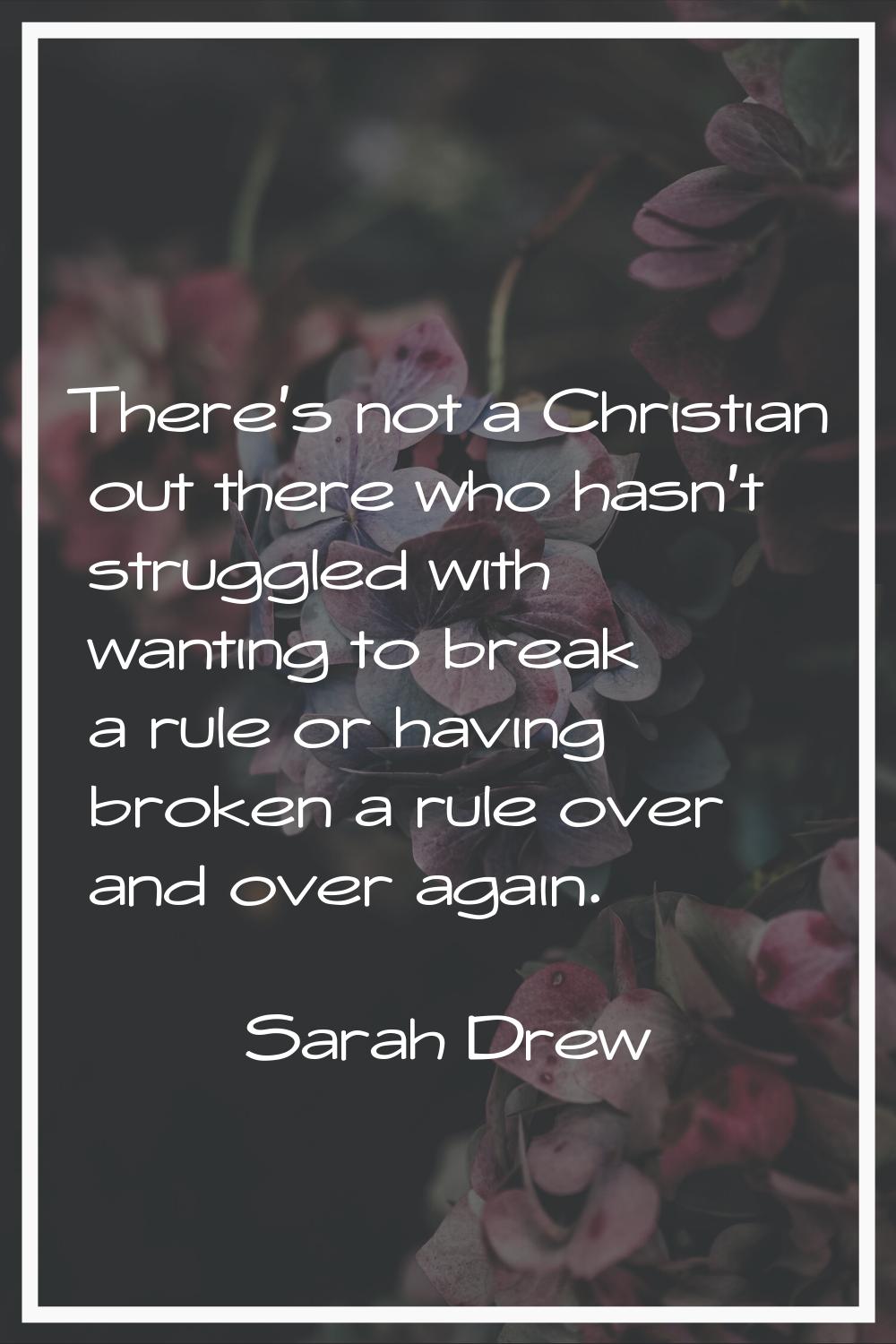 There's not a Christian out there who hasn't struggled with wanting to break a rule or having broke