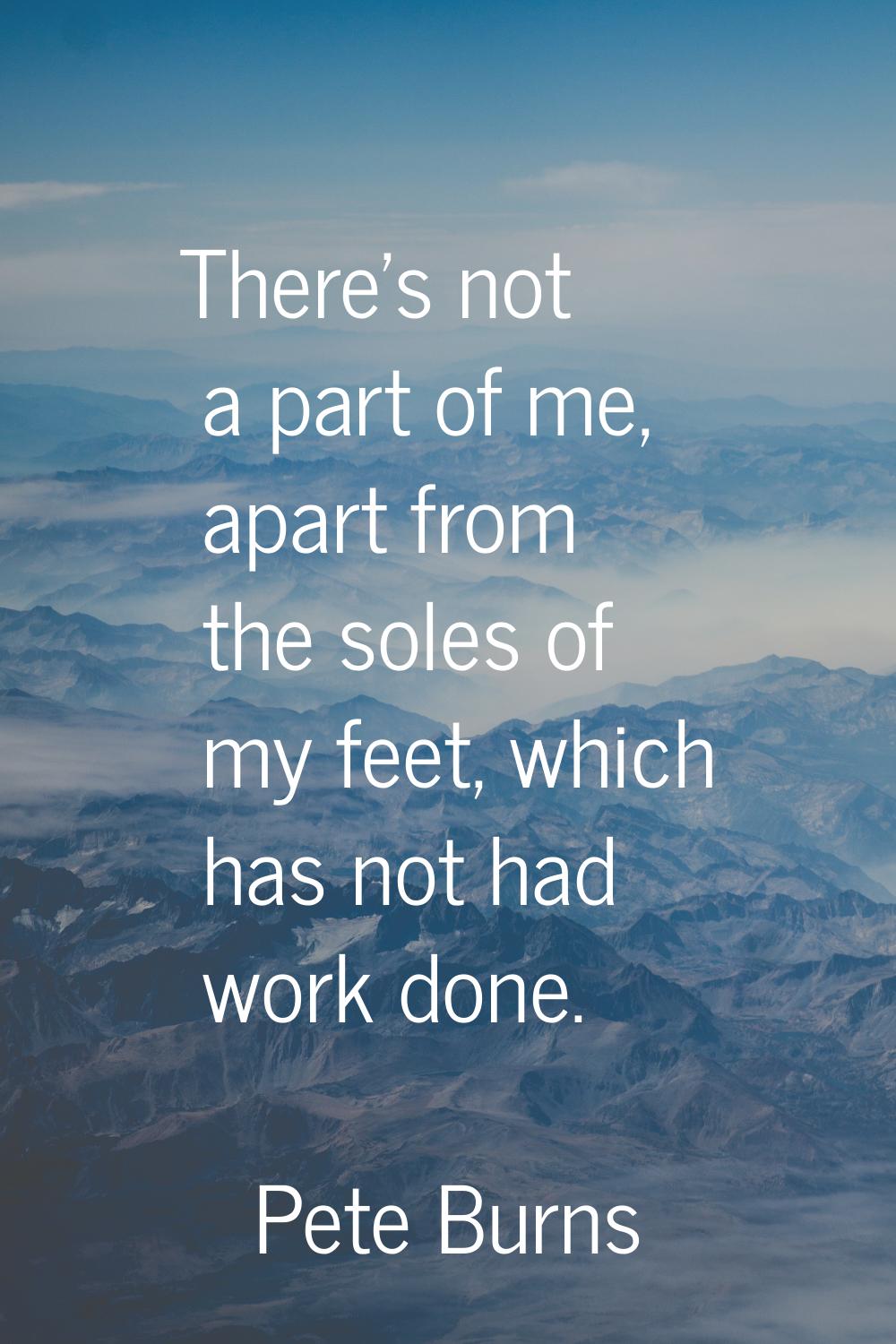 There's not a part of me, apart from the soles of my feet, which has not had work done.