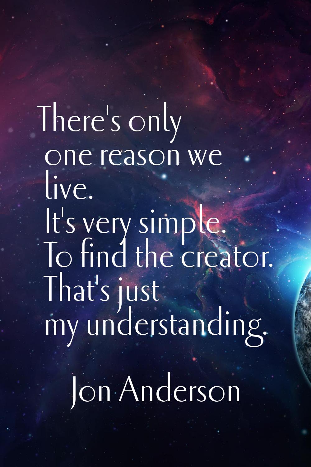 There's only one reason we live. It's very simple. To find the creator. That's just my understandin