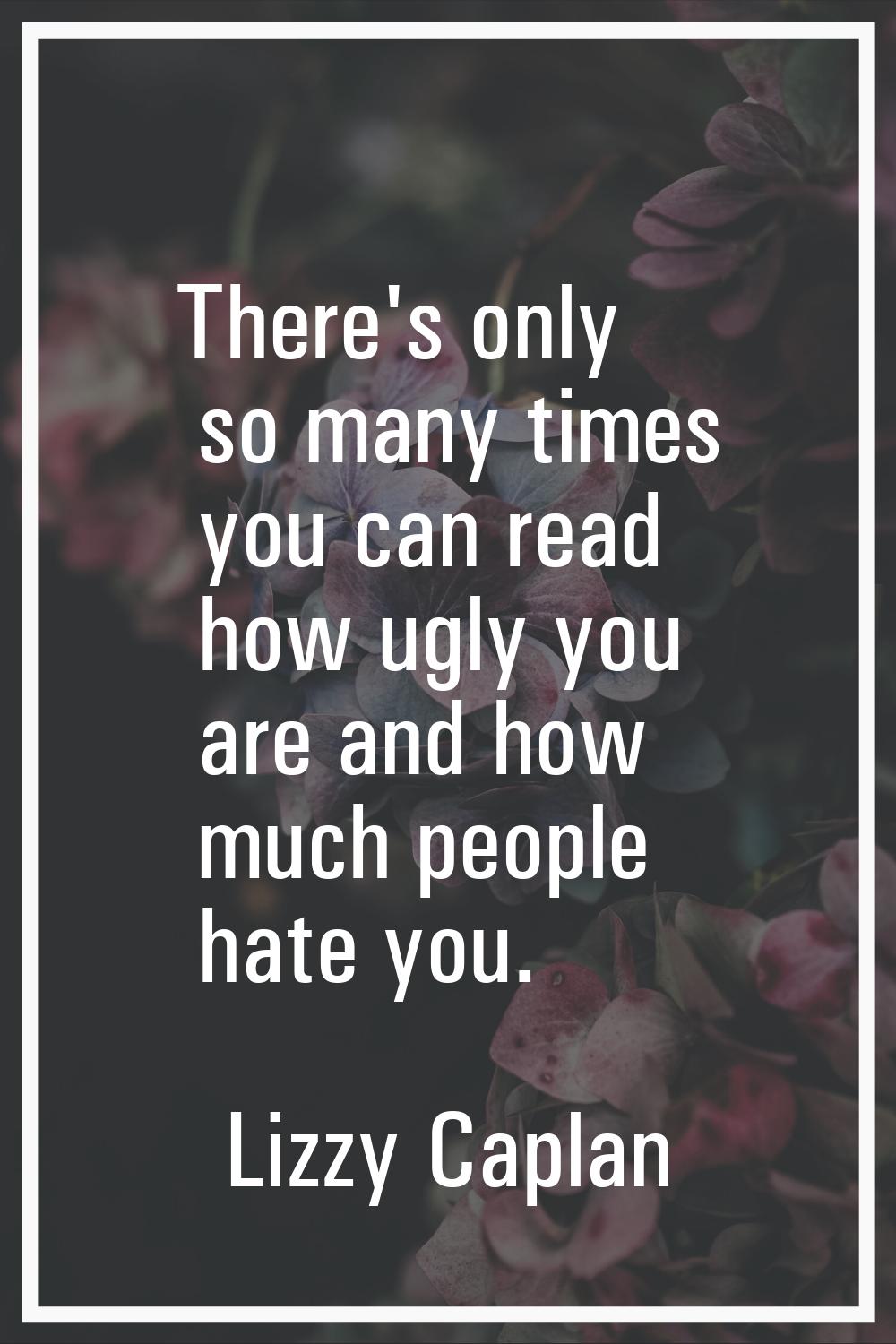 There's only so many times you can read how ugly you are and how much people hate you.