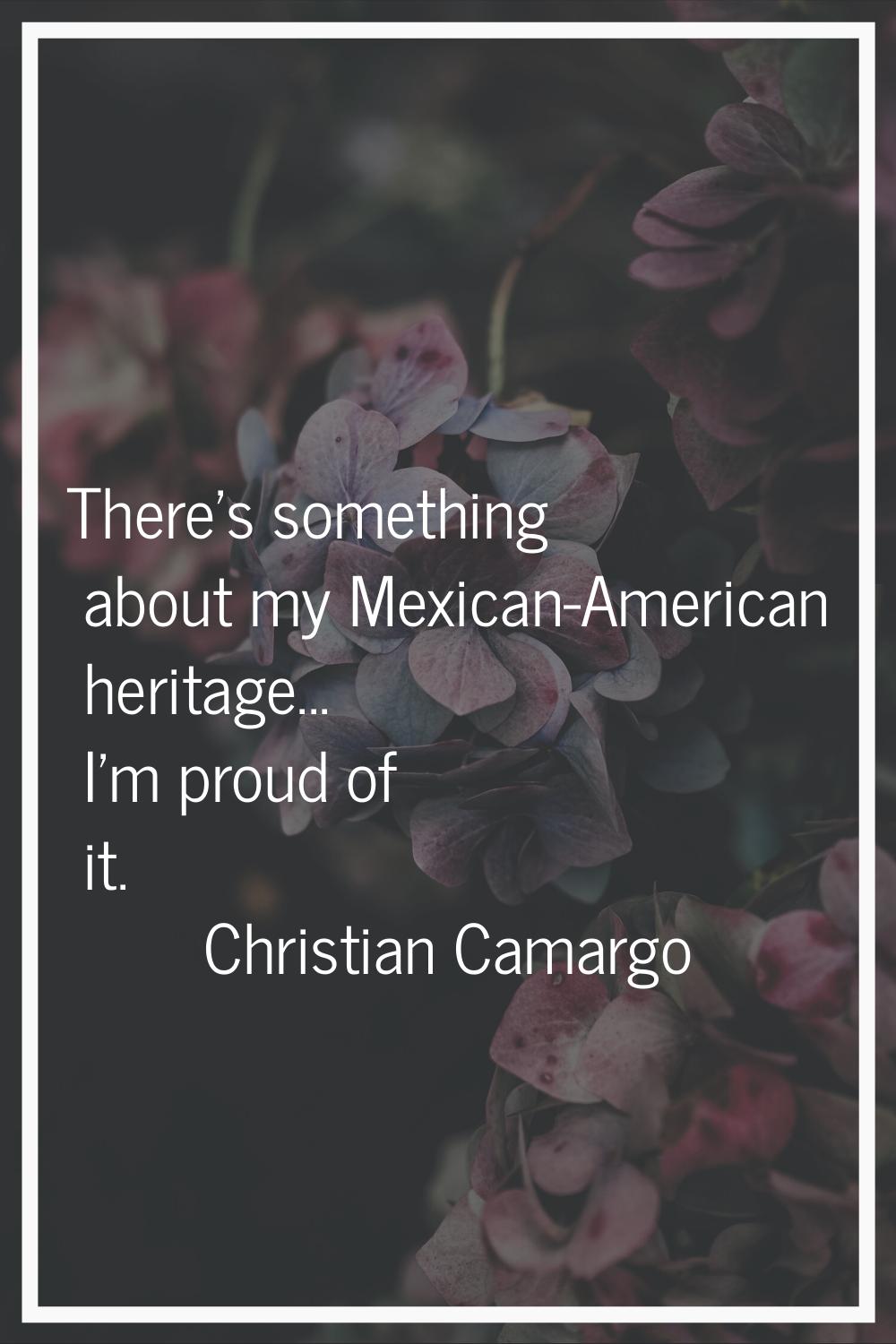 There's something about my Mexican-American heritage... I'm proud of it.