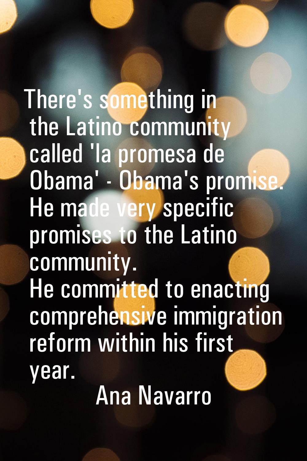 There's something in the Latino community called 'la promesa de Obama' - Obama's promise. He made v