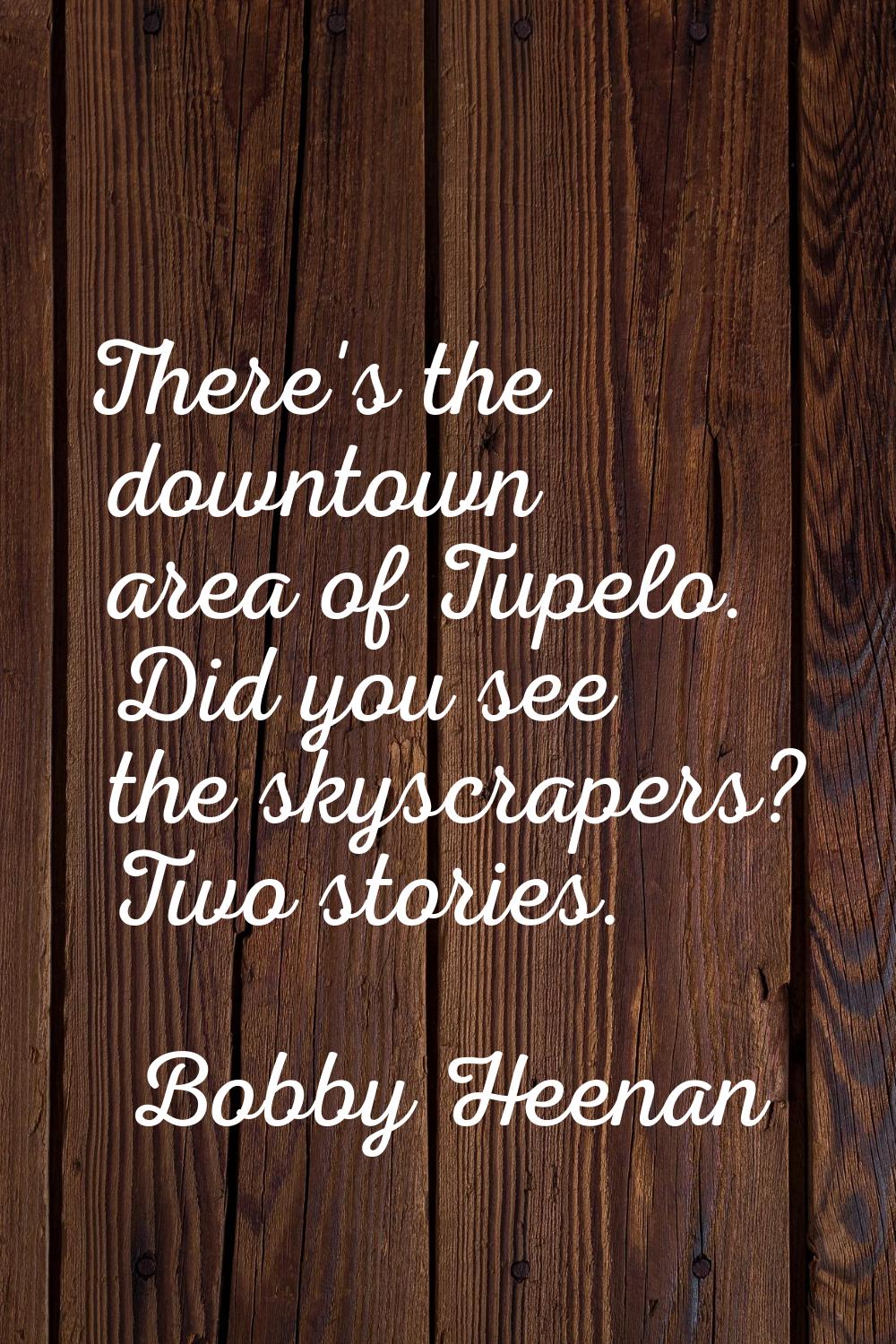 There's the downtown area of Tupelo. Did you see the skyscrapers? Two stories.