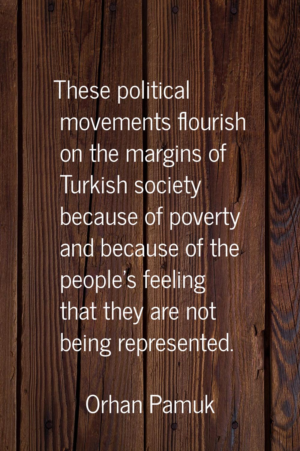 These political movements flourish on the margins of Turkish society because of poverty and because