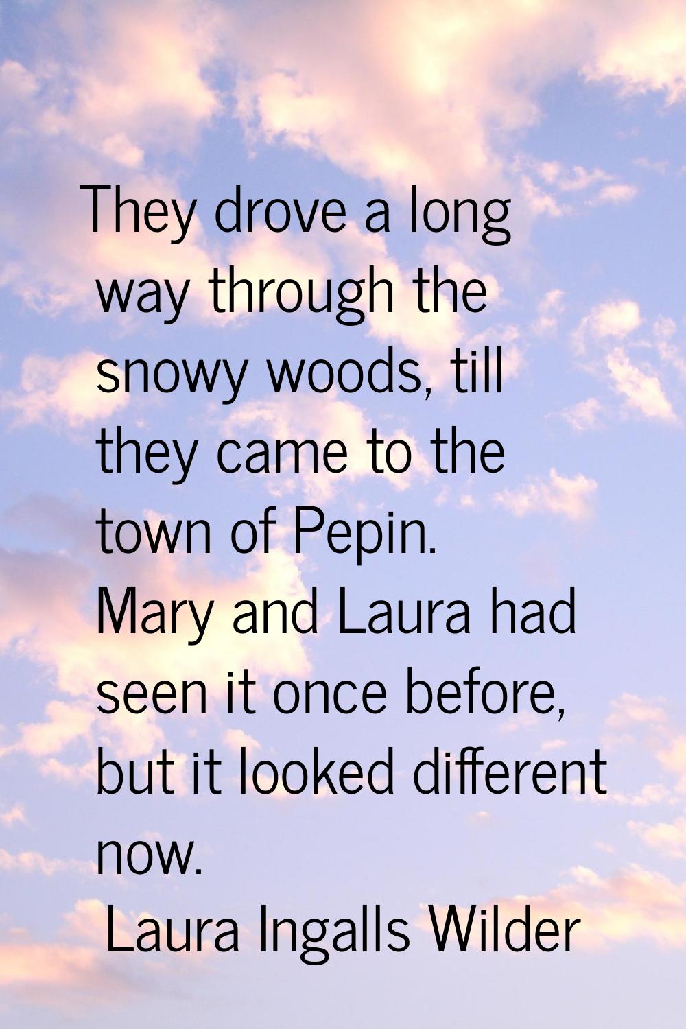 They drove a long way through the snowy woods, till they came to the town of Pepin. Mary and Laura 