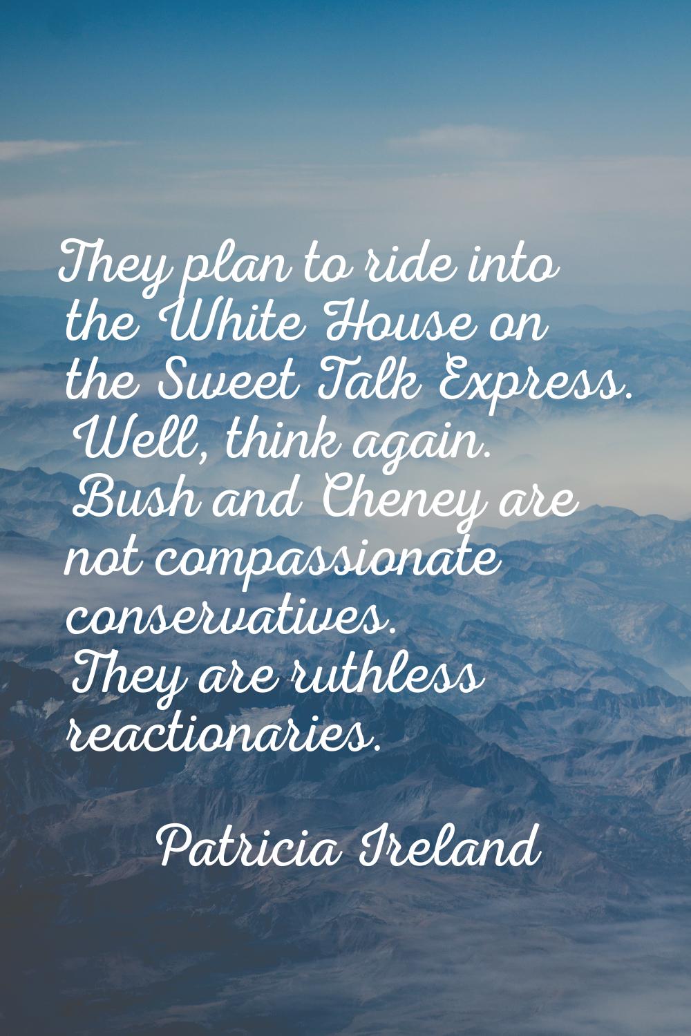 They plan to ride into the White House on the Sweet Talk Express. Well, think again. Bush and Chene