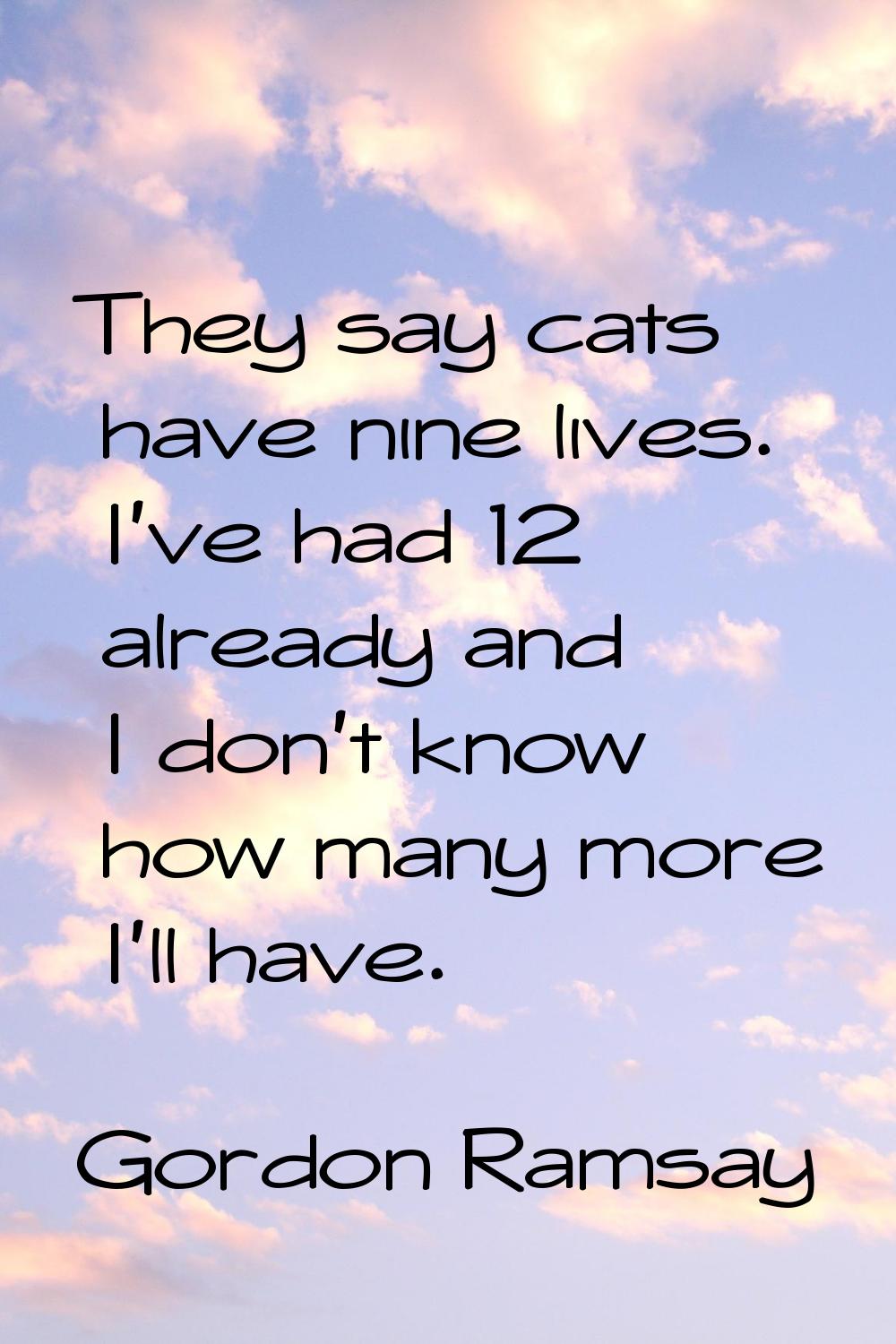 They say cats have nine lives. I've had 12 already and I don't know how many more I'll have.