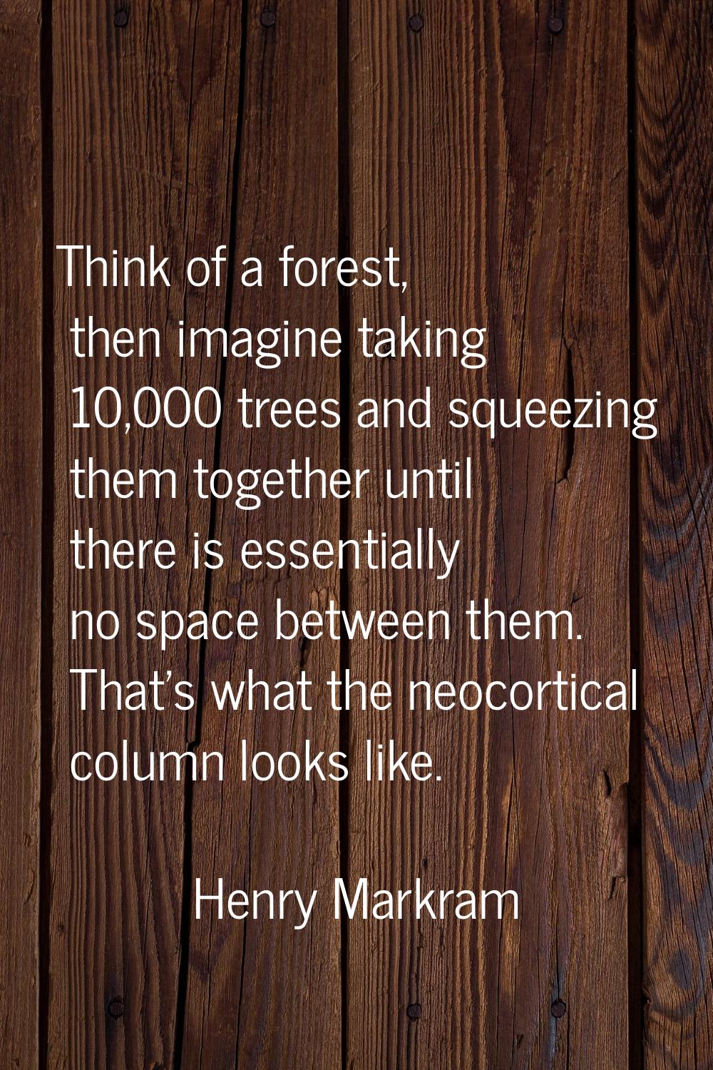 Think of a forest, then imagine taking 10,000 trees and squeezing them together until there is esse
