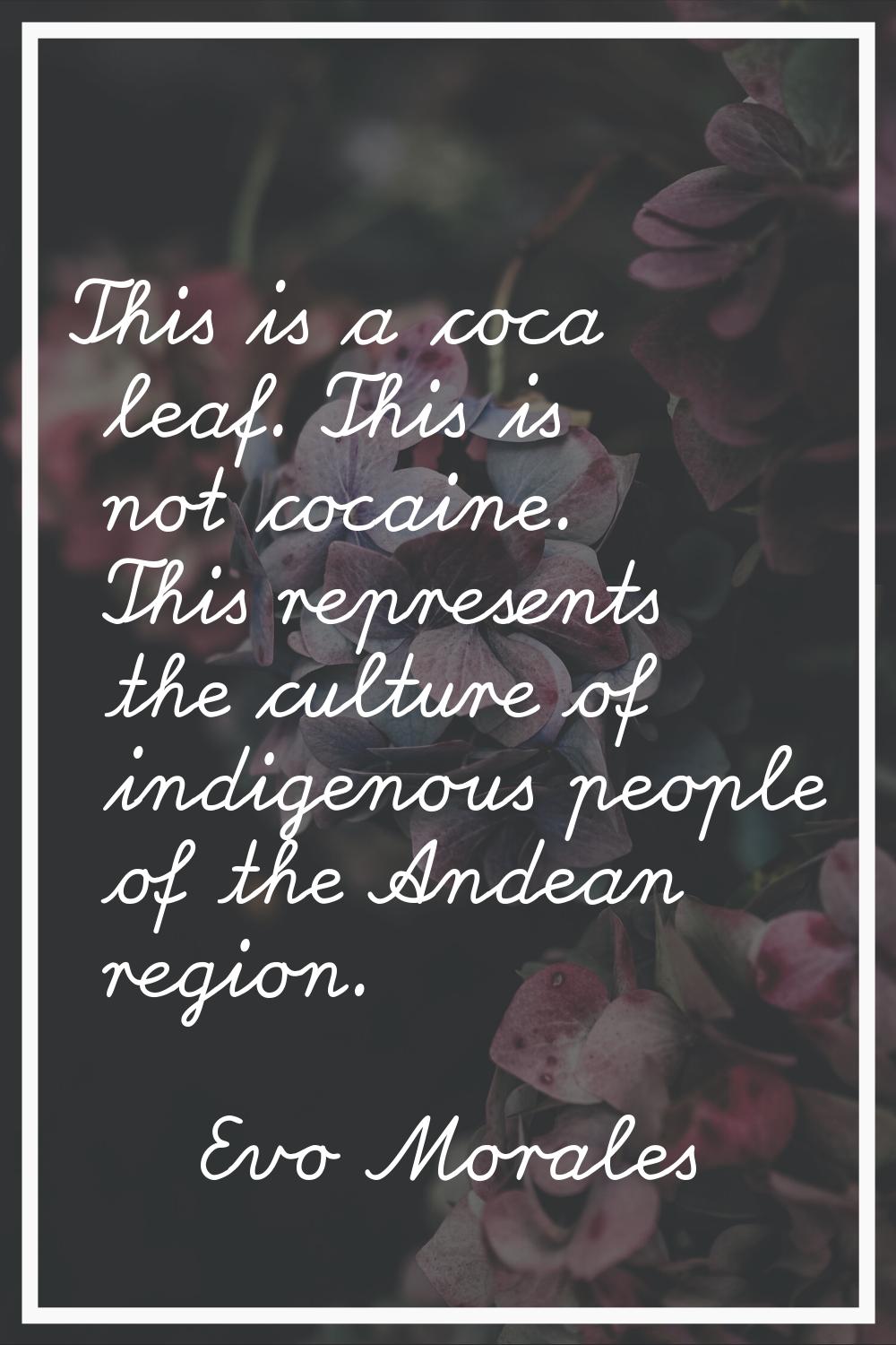 This is a coca leaf. This is not cocaine. This represents the culture of indigenous people of the A