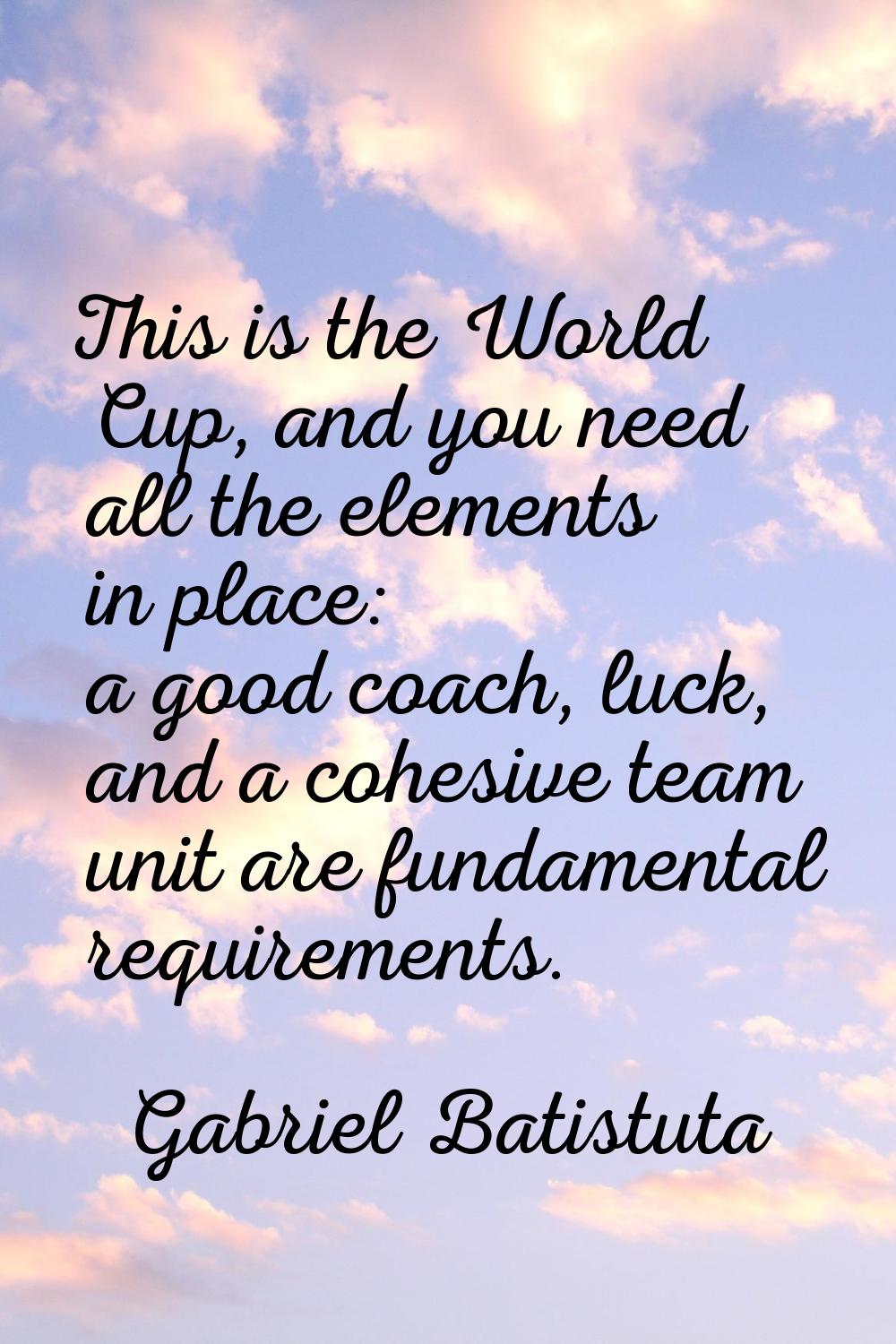 This is the World Cup, and you need all the elements in place: a good coach, luck, and a cohesive t
