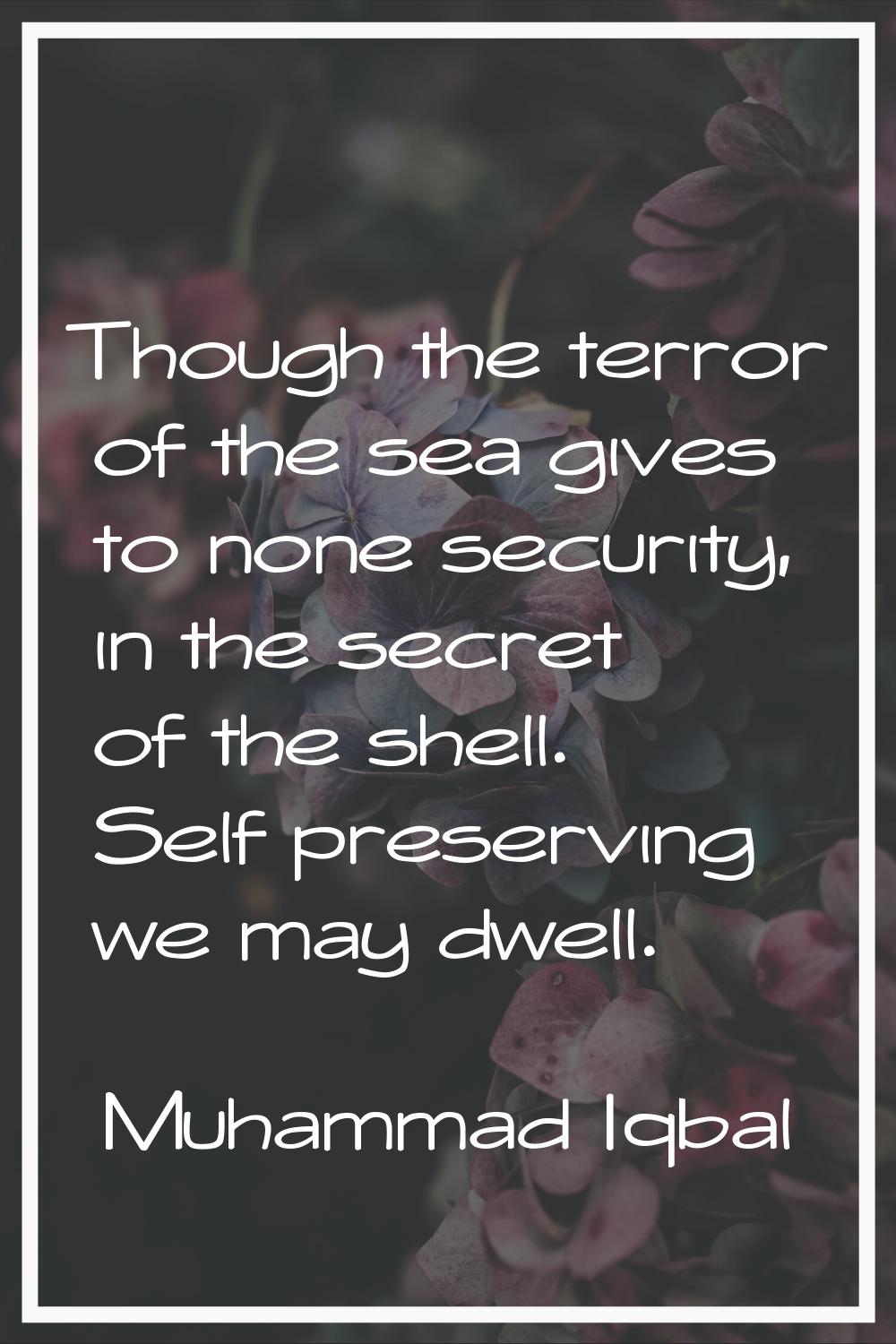 Though the terror of the sea gives to none security, in the secret of the shell. Self preserving we