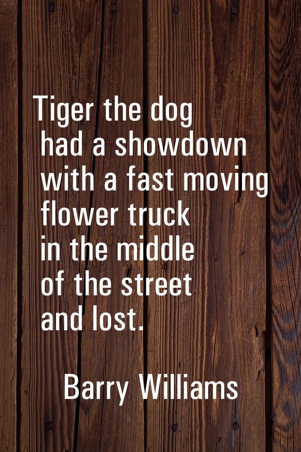Tiger the dog had a showdown with a fast moving flower truck in the middle of the street and lost.