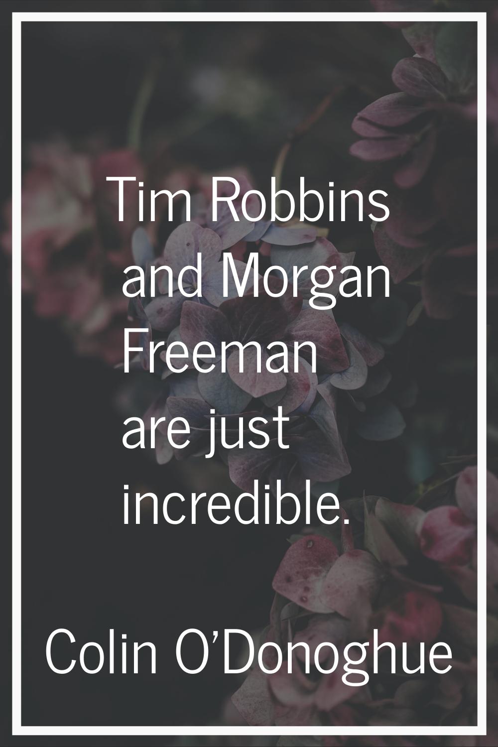 Tim Robbins and Morgan Freeman are just incredible.