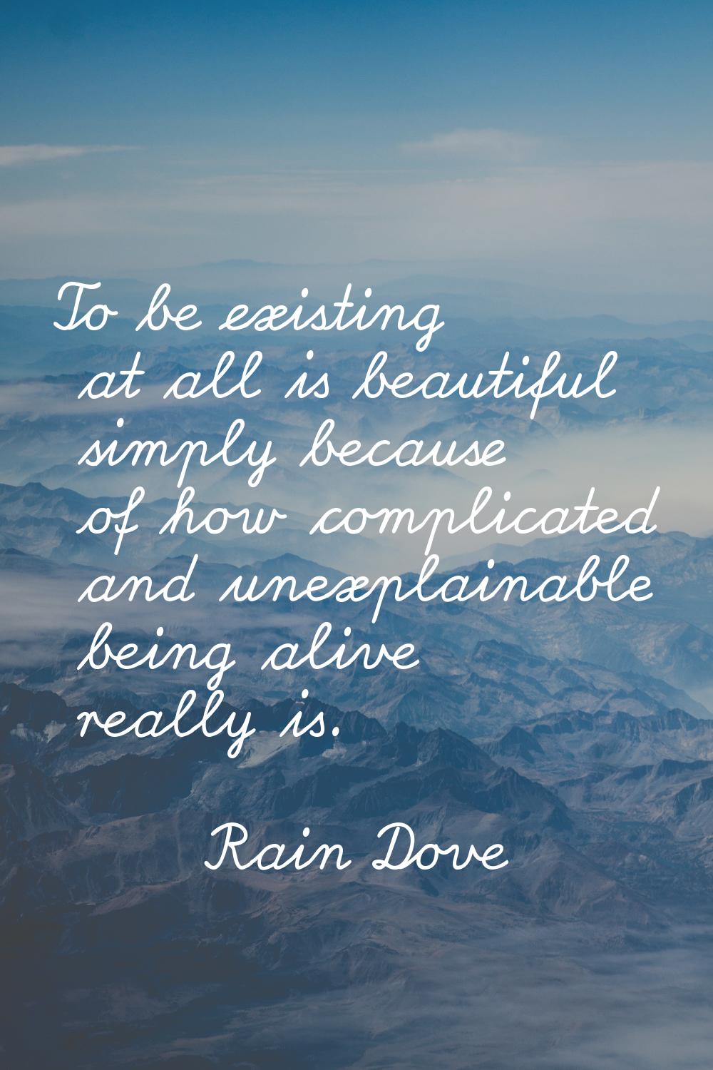 To be existing at all is beautiful simply because of how complicated and unexplainable being alive 