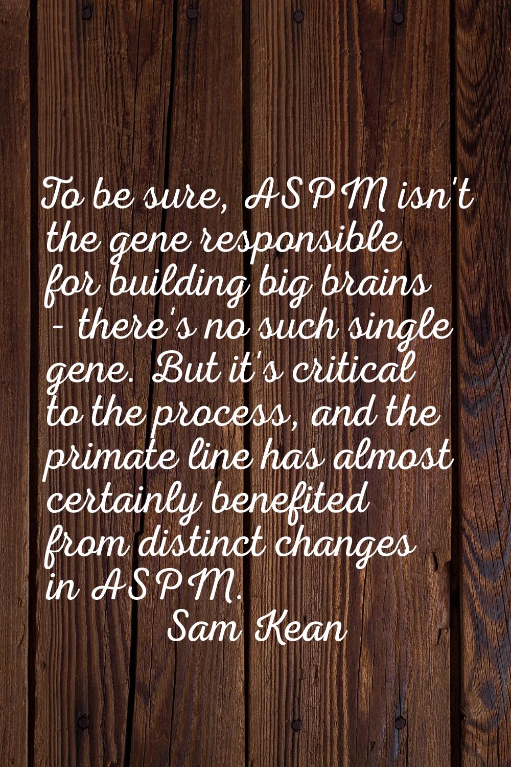 To be sure, ASPM isn't the gene responsible for building big brains - there's no such single gene. 