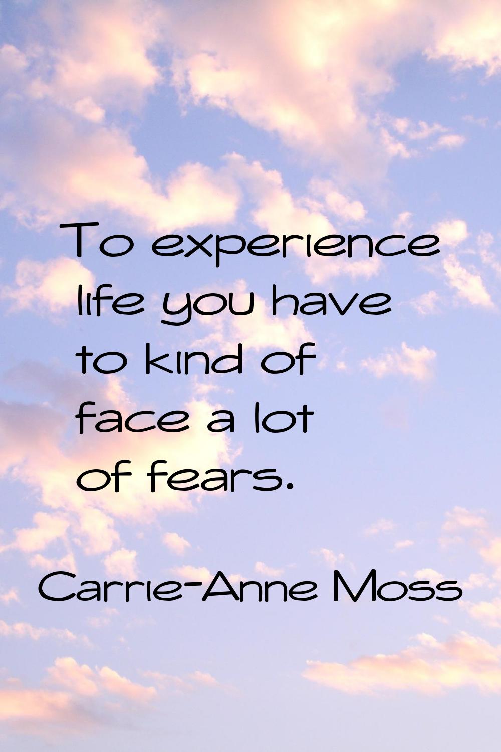 To experience life you have to kind of face a lot of fears.