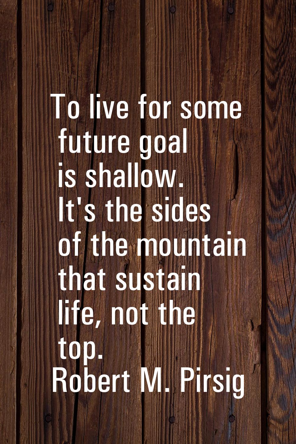 To live for some future goal is shallow. It's the sides of the mountain that sustain life, not the 