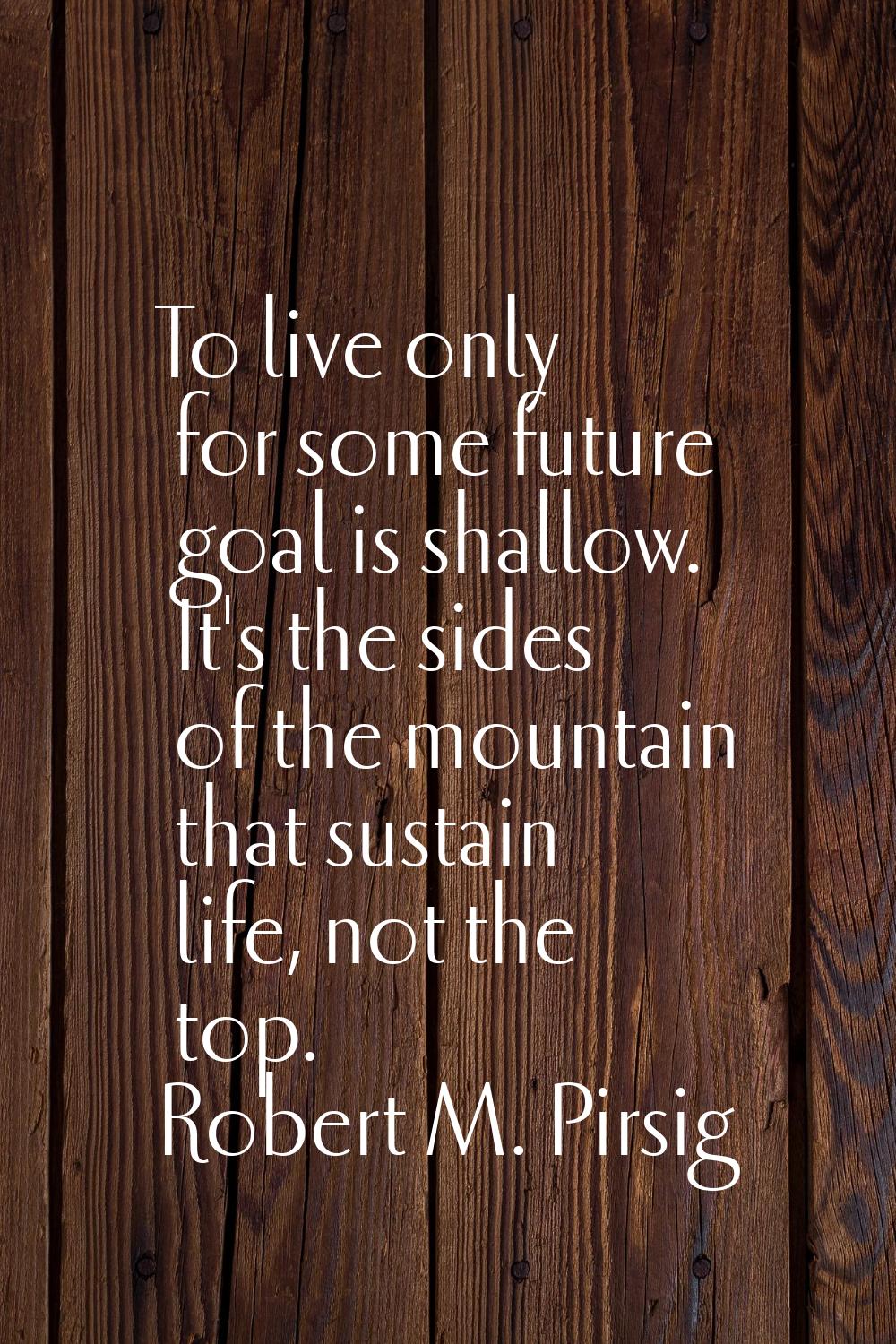 To live only for some future goal is shallow. It's the sides of the mountain that sustain life, not