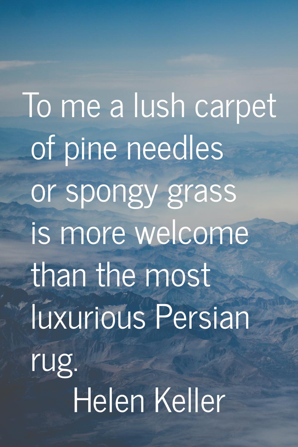 To me a lush carpet of pine needles or spongy grass is more welcome than the most luxurious Persian