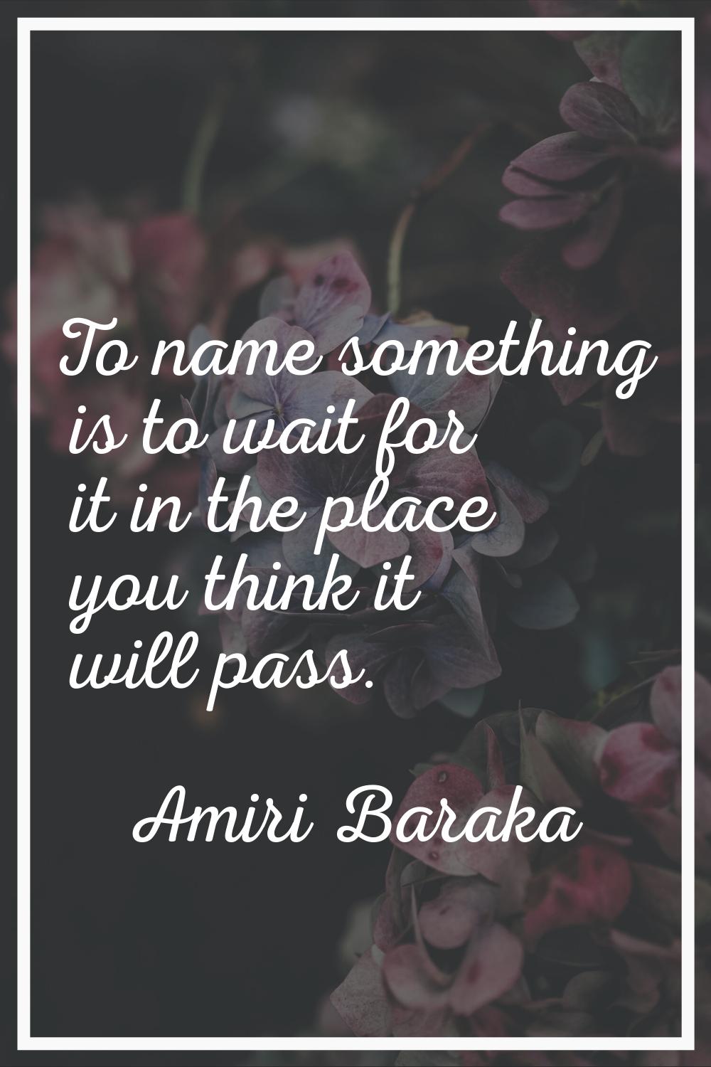 To name something is to wait for it in the place you think it will pass.