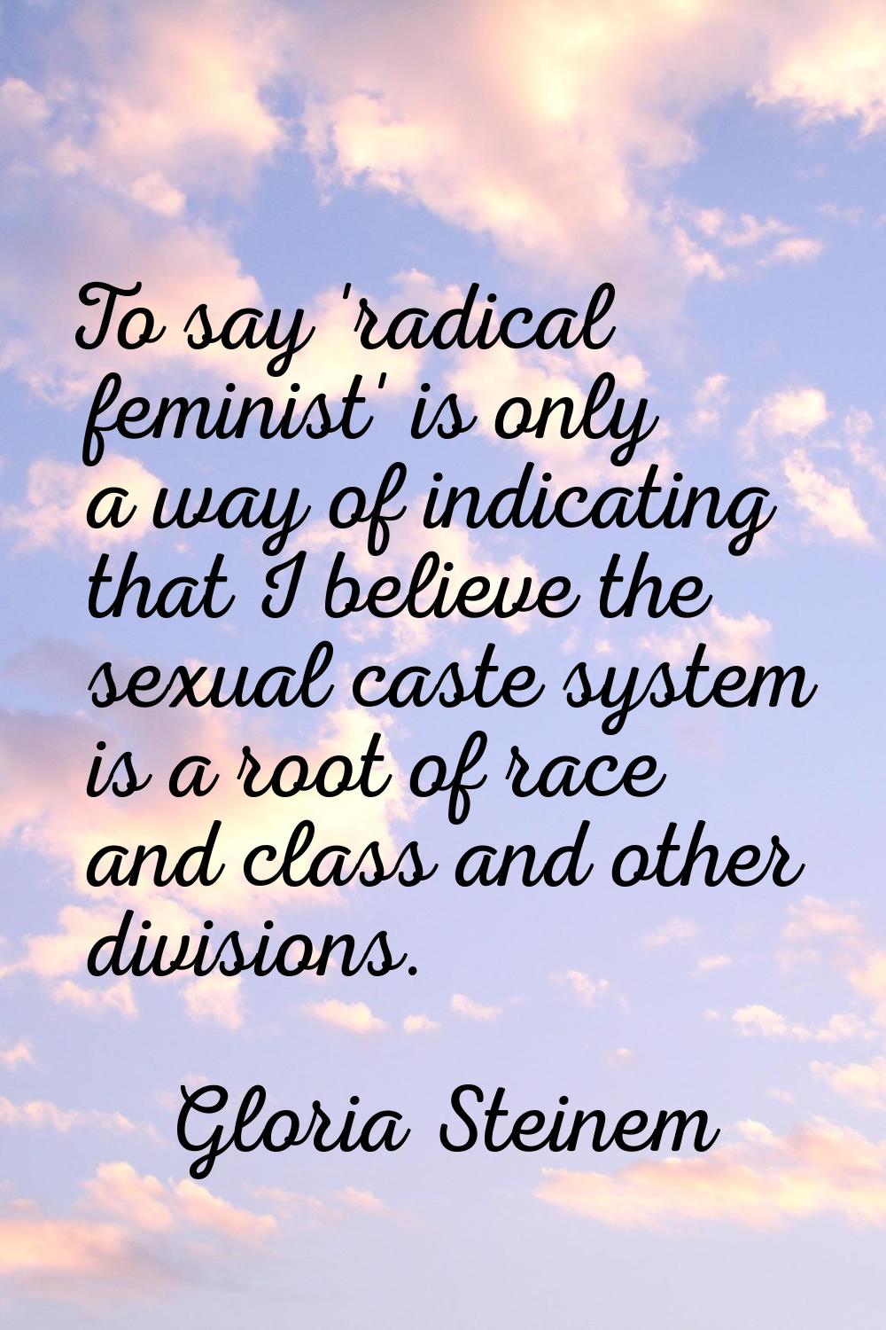 To say 'radical feminist' is only a way of indicating that I believe the sexual caste system is a r