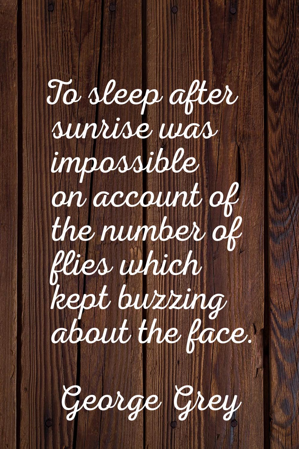 To sleep after sunrise was impossible on account of the number of flies which kept buzzing about th