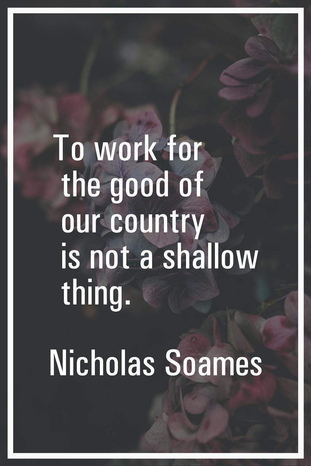 To work for the good of our country is not a shallow thing.
