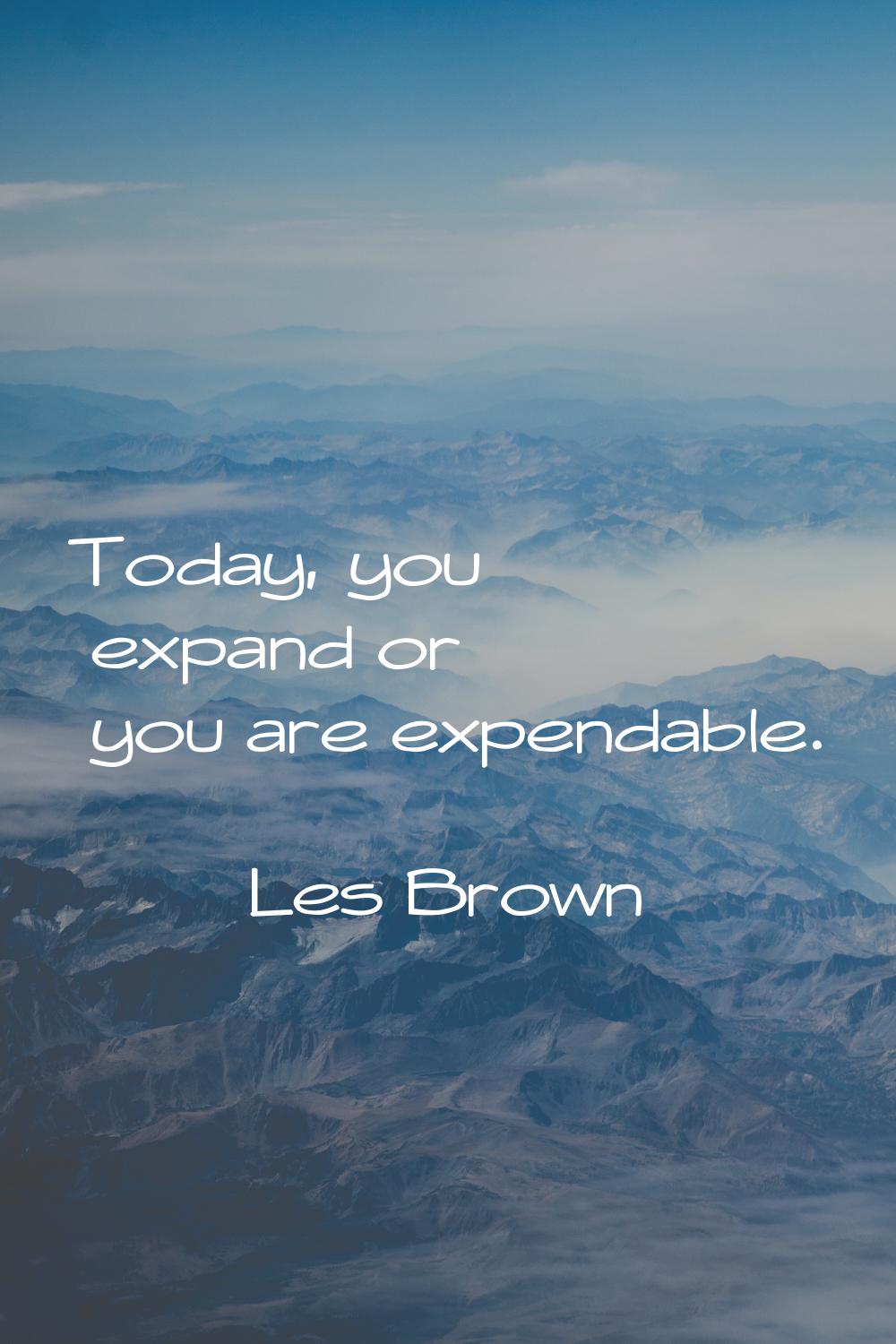 Today, you expand or you are expendable.
