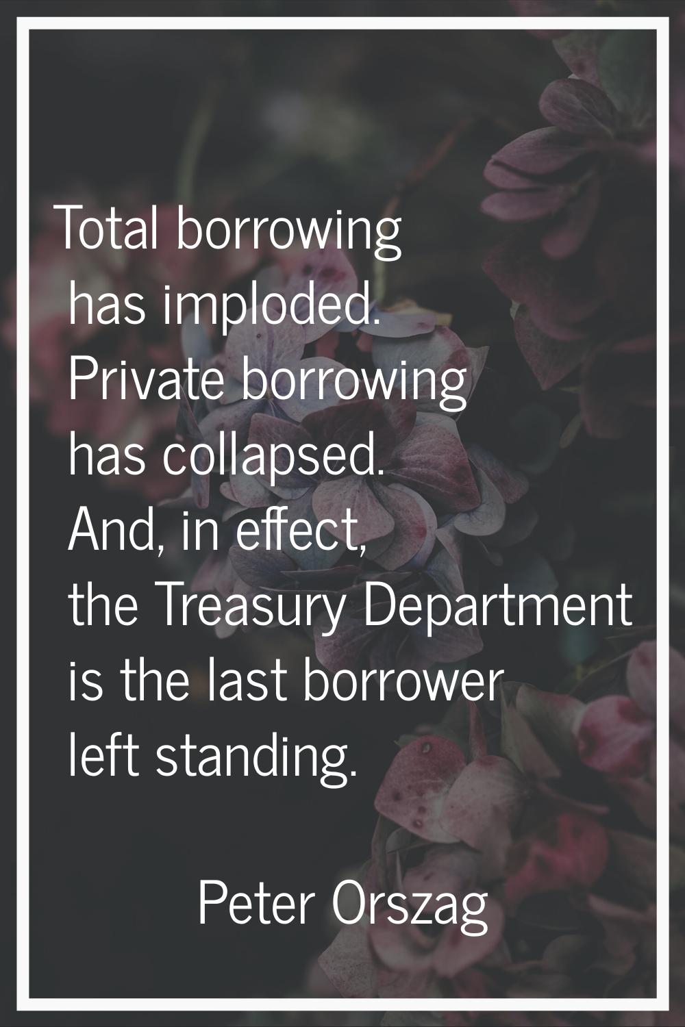 Total borrowing has imploded. Private borrowing has collapsed. And, in effect, the Treasury Departm