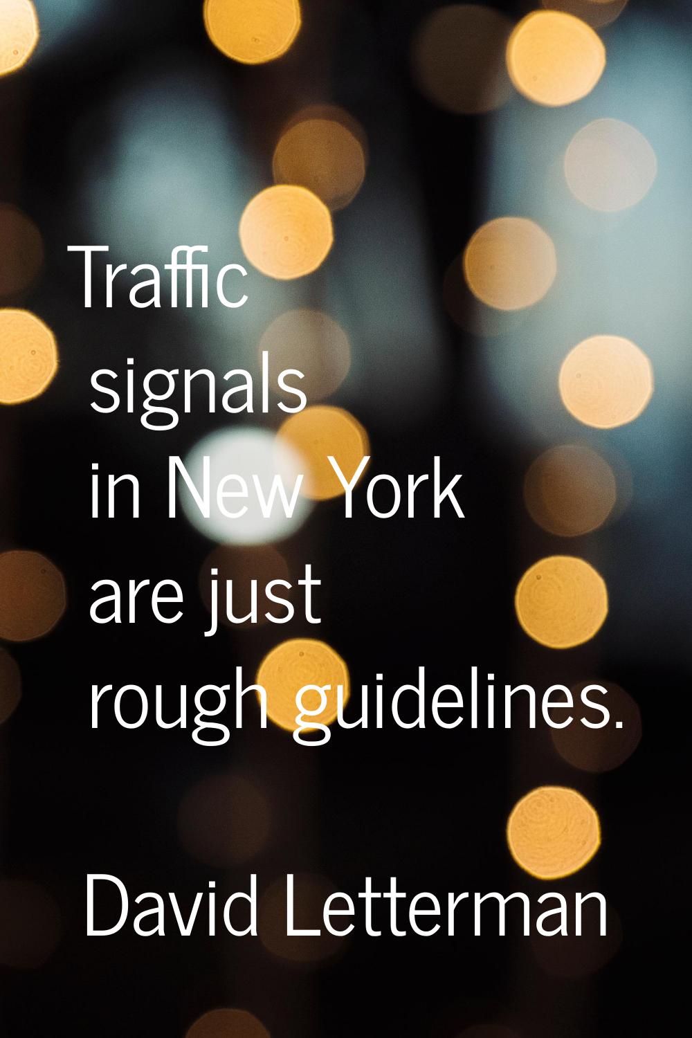 Traffic signals in New York are just rough guidelines.
