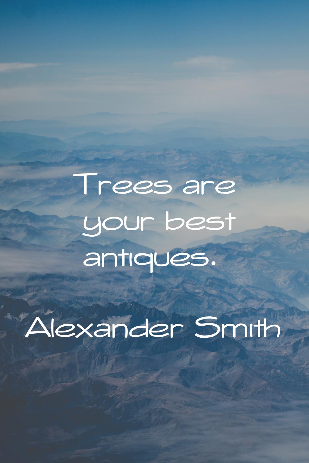 Trees are your best antiques.