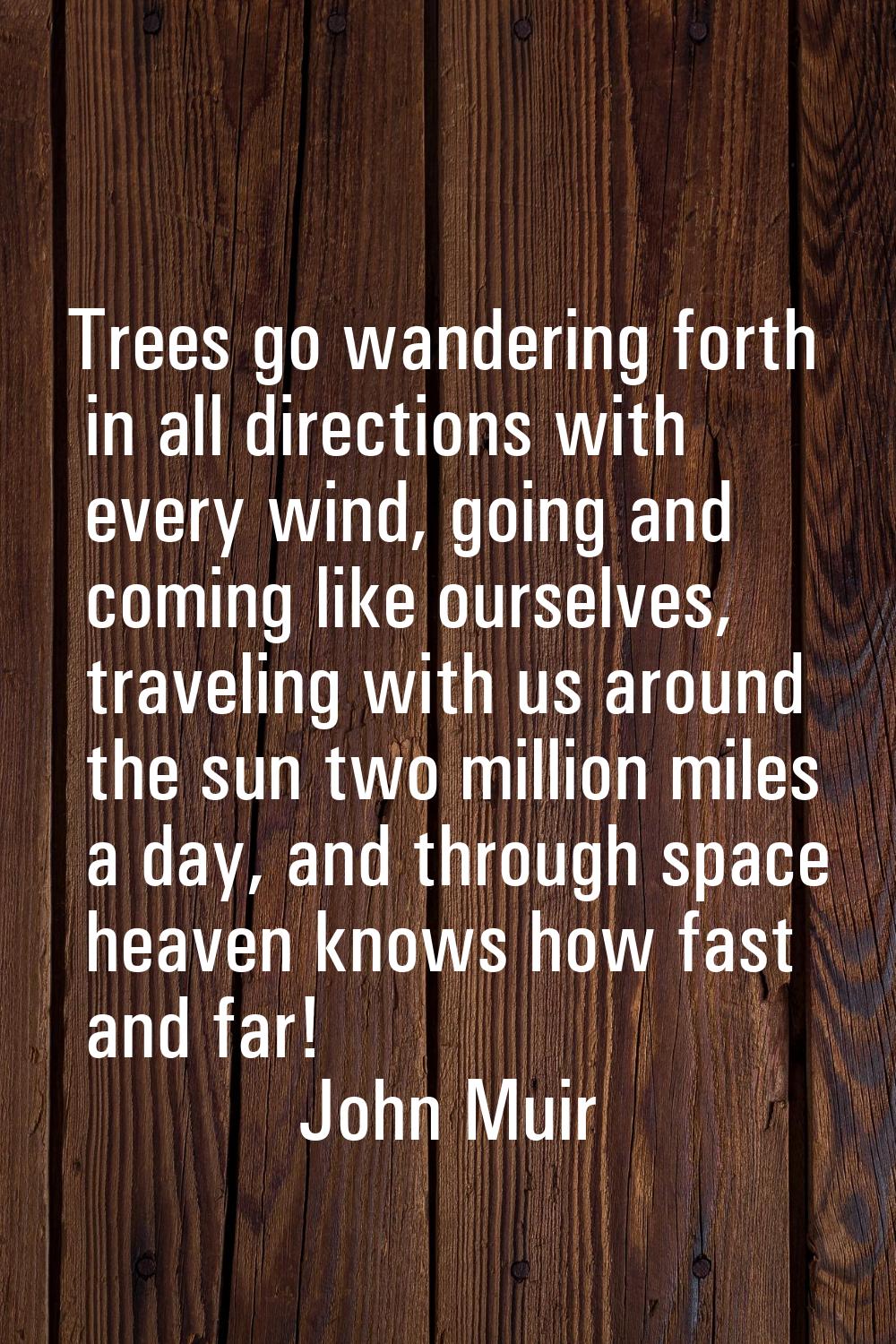 Trees go wandering forth in all directions with every wind, going and coming like ourselves, travel