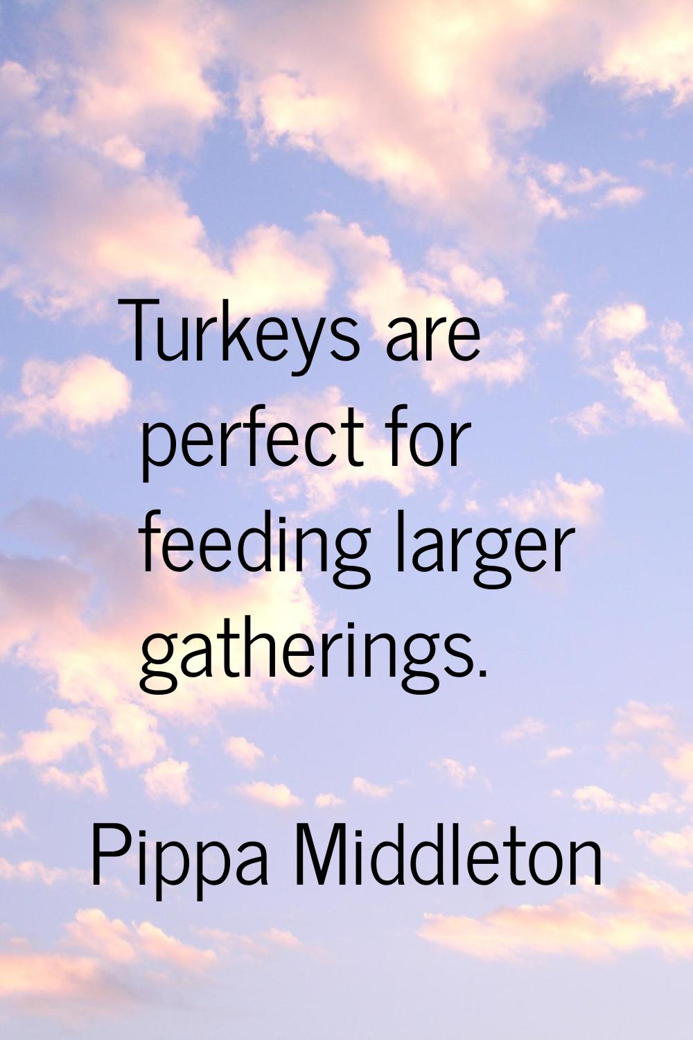 Turkeys are perfect for feeding larger gatherings.