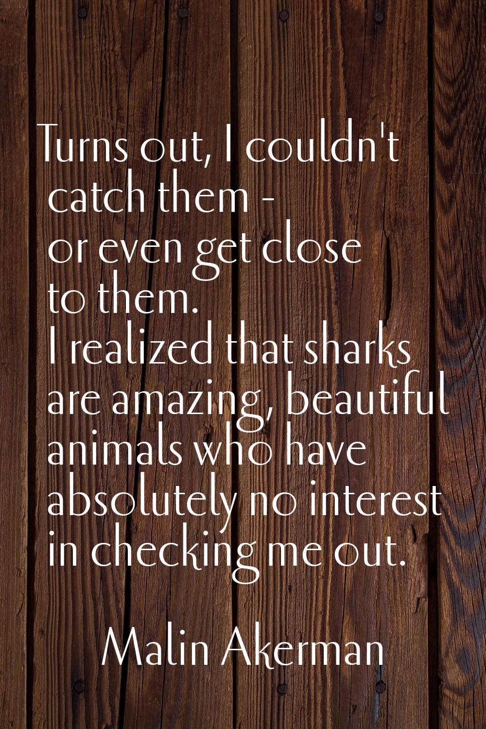 Turns out, I couldn't catch them - or even get close to them. I realized that sharks are amazing, b