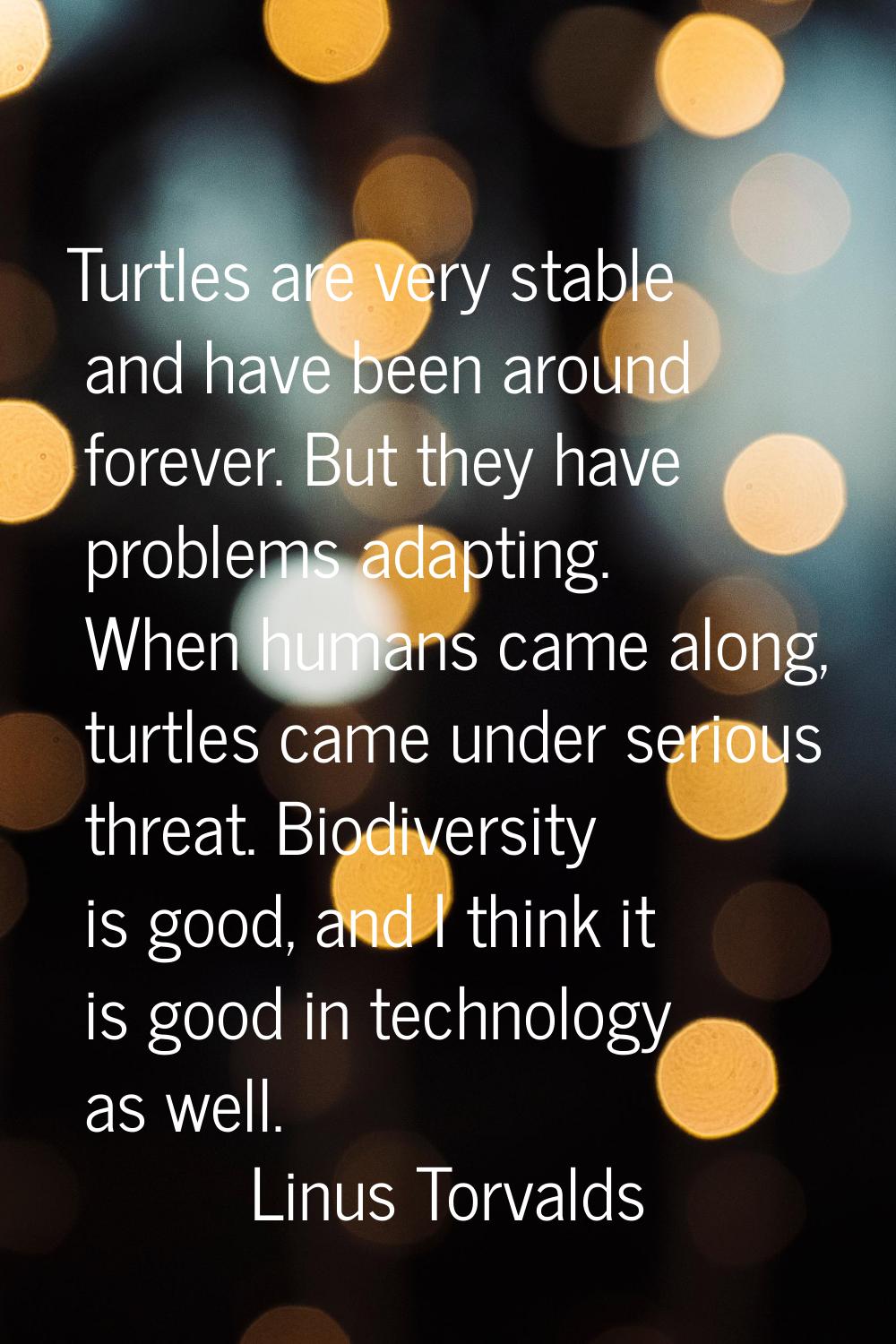 Turtles are very stable and have been around forever. But they have problems adapting. When humans 