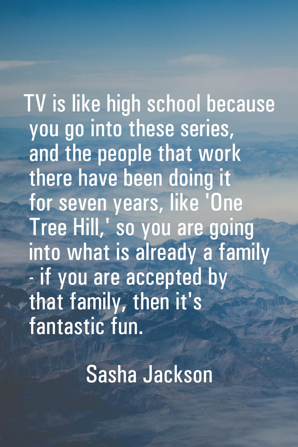 TV is like high school because you go into these series, and the people that work there have been d
