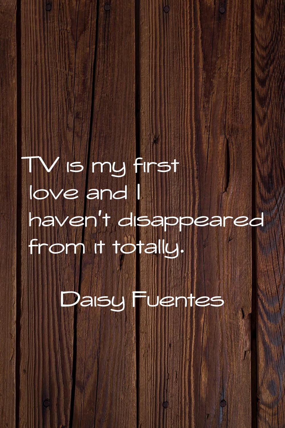 TV is my first love and I haven't disappeared from it totally.