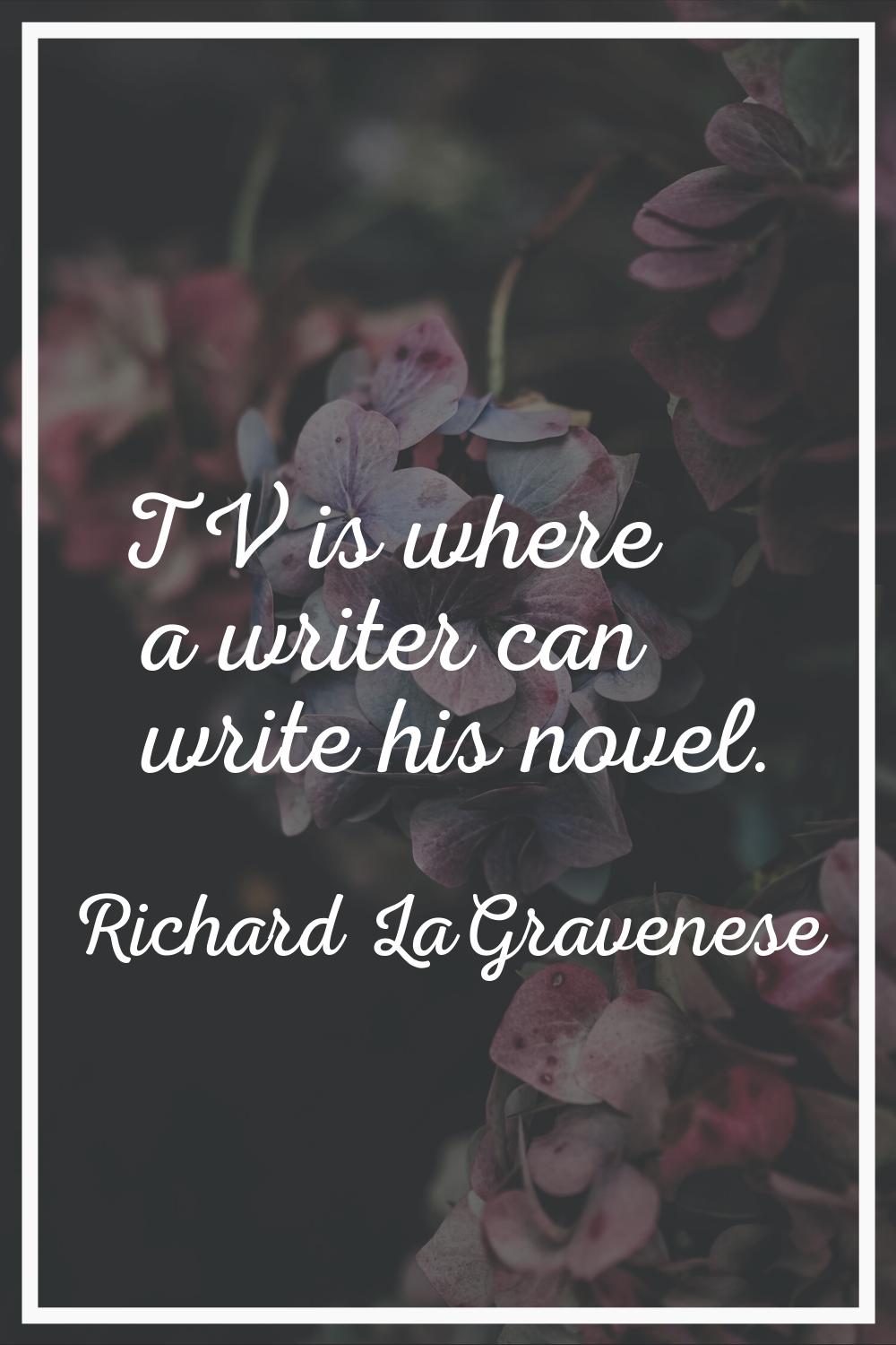 TV is where a writer can write his novel.