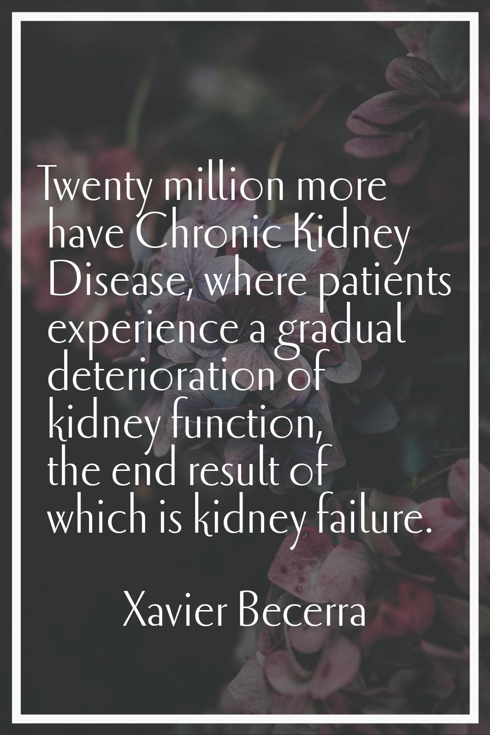 Twenty million more have Chronic Kidney Disease, where patients experience a gradual deterioration 