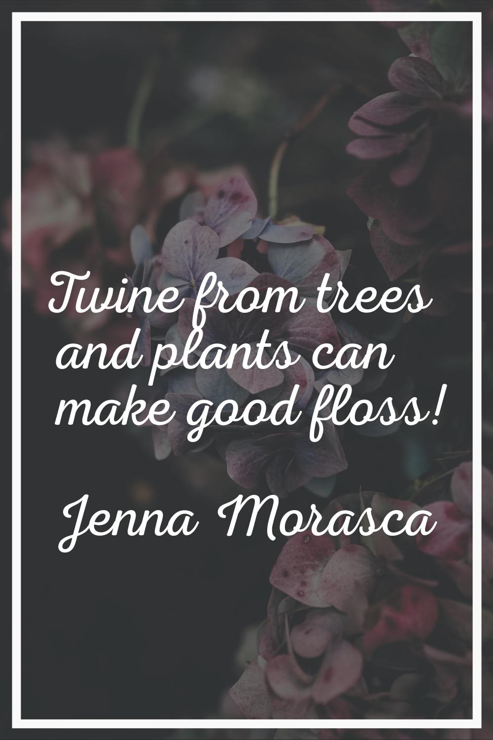 Twine from trees and plants can make good floss!