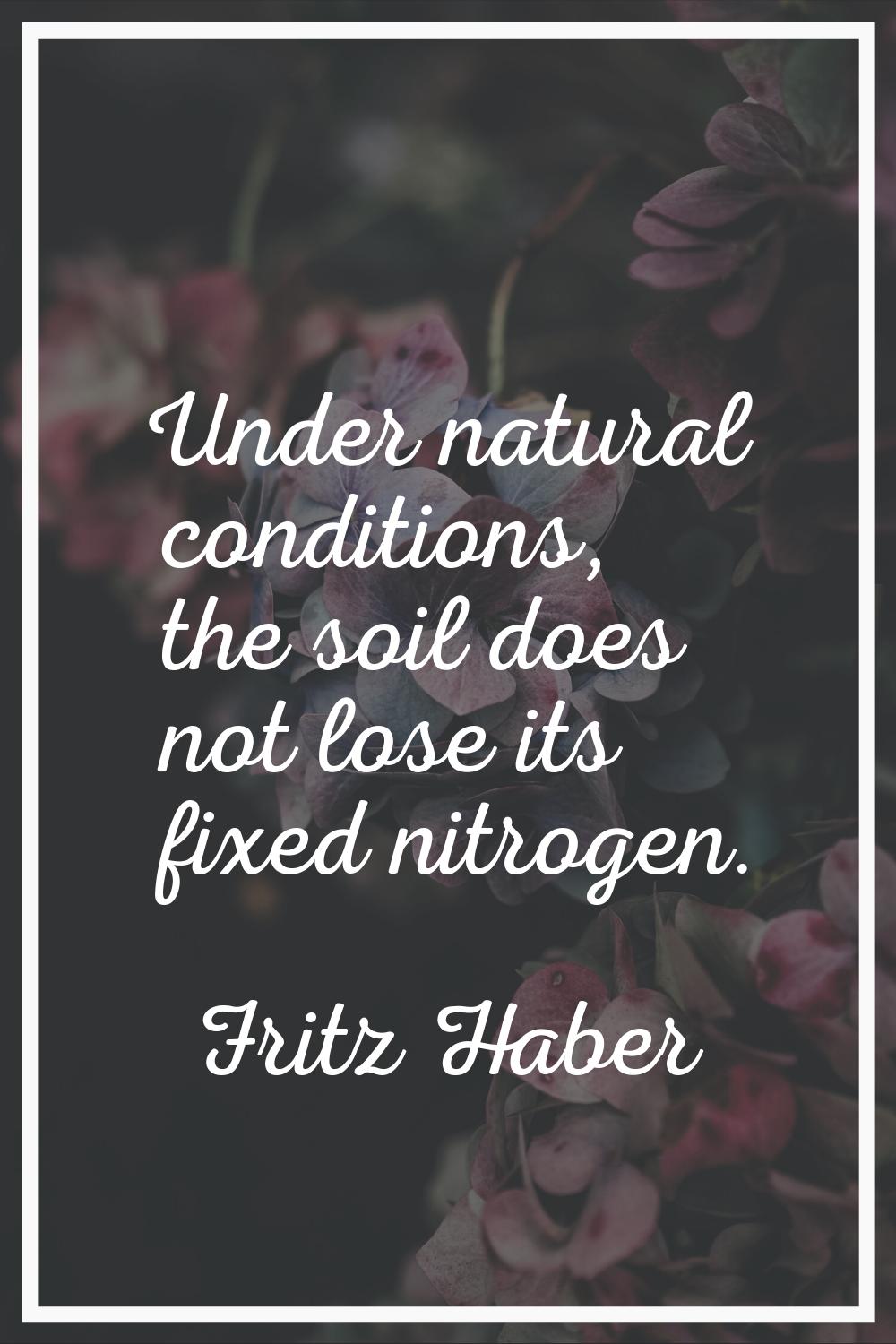 Under natural conditions, the soil does not lose its fixed nitrogen.