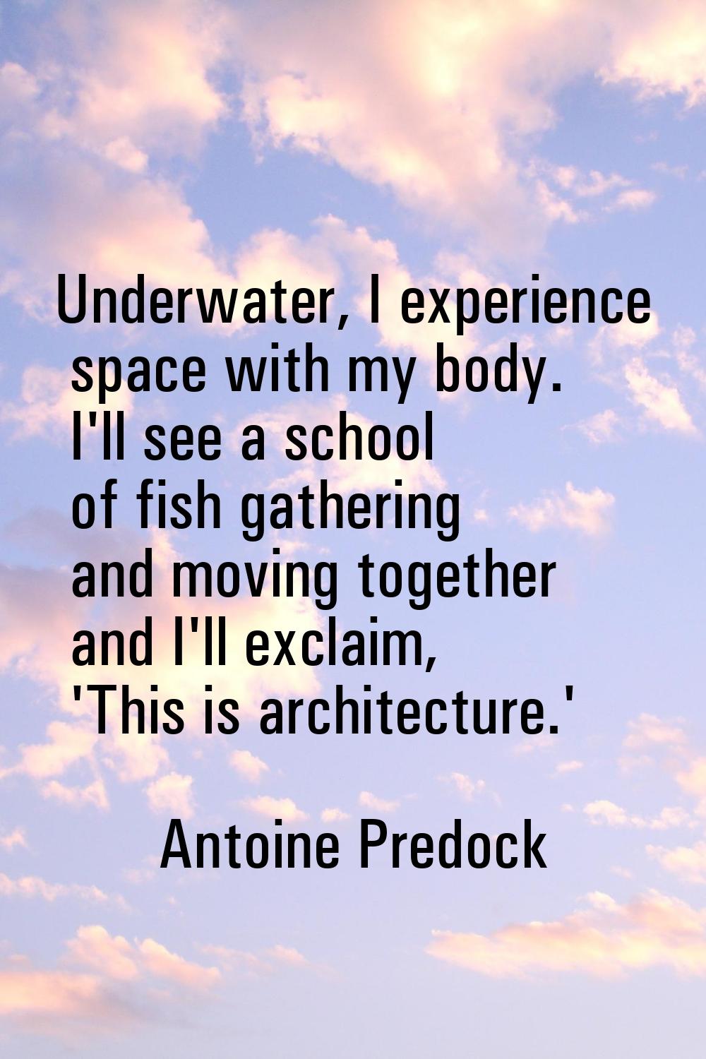 Underwater, I experience space with my body. I'll see a school of fish gathering and moving togethe