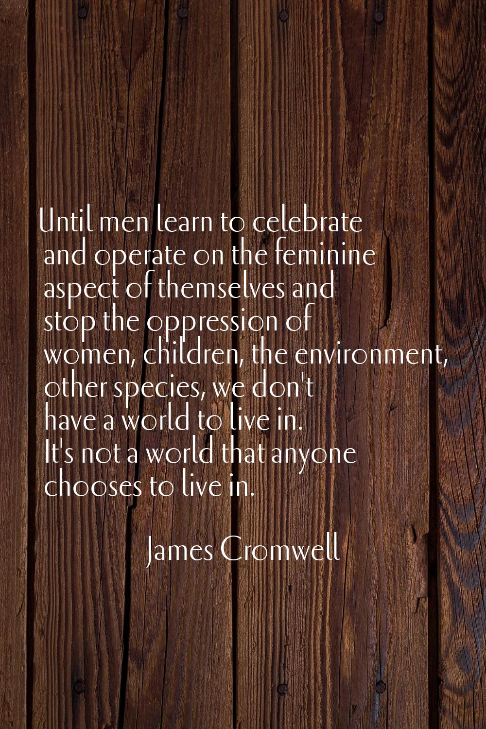 Until men learn to celebrate and operate on the feminine aspect of themselves and stop the oppressi