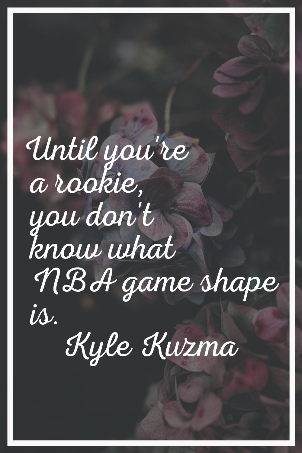 Until you're a rookie, you don't know what NBA game shape is.