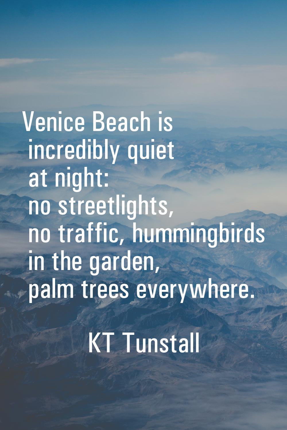 Venice Beach is incredibly quiet at night: no streetlights, no traffic, hummingbirds in the garden,