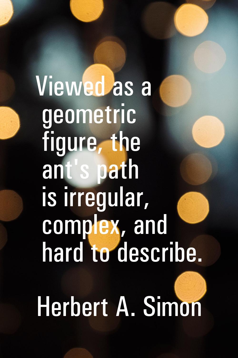 Viewed as a geometric figure, the ant's path is irregular, complex, and hard to describe.