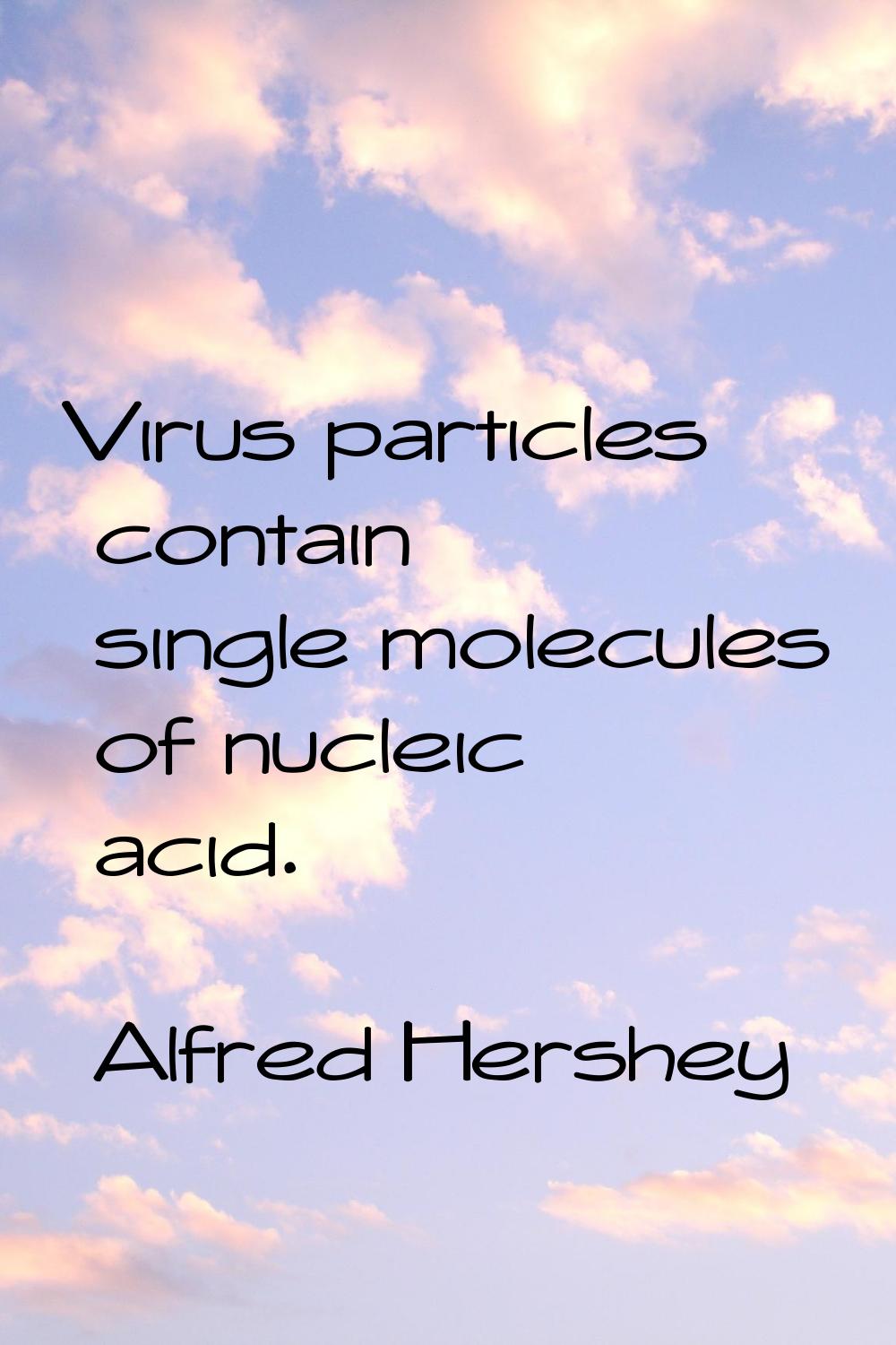 Virus particles contain single molecules of nucleic acid.