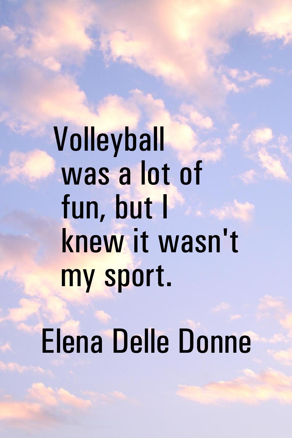 Volleyball was a lot of fun, but I knew it wasn't my sport.