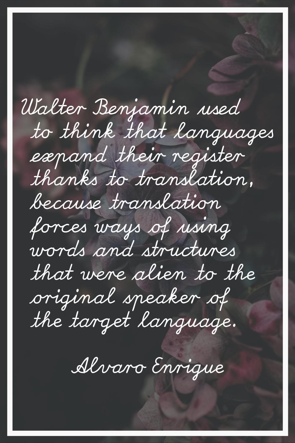 Walter Benjamin used to think that languages expand their register thanks to translation, because t