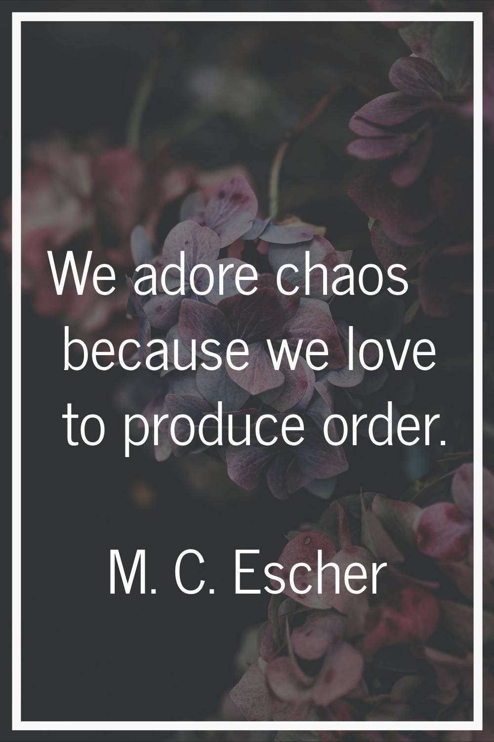 We adore chaos because we love to produce order.